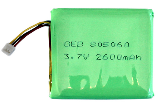 GEB805060
